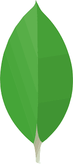 MongoDb