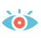 Our Vision